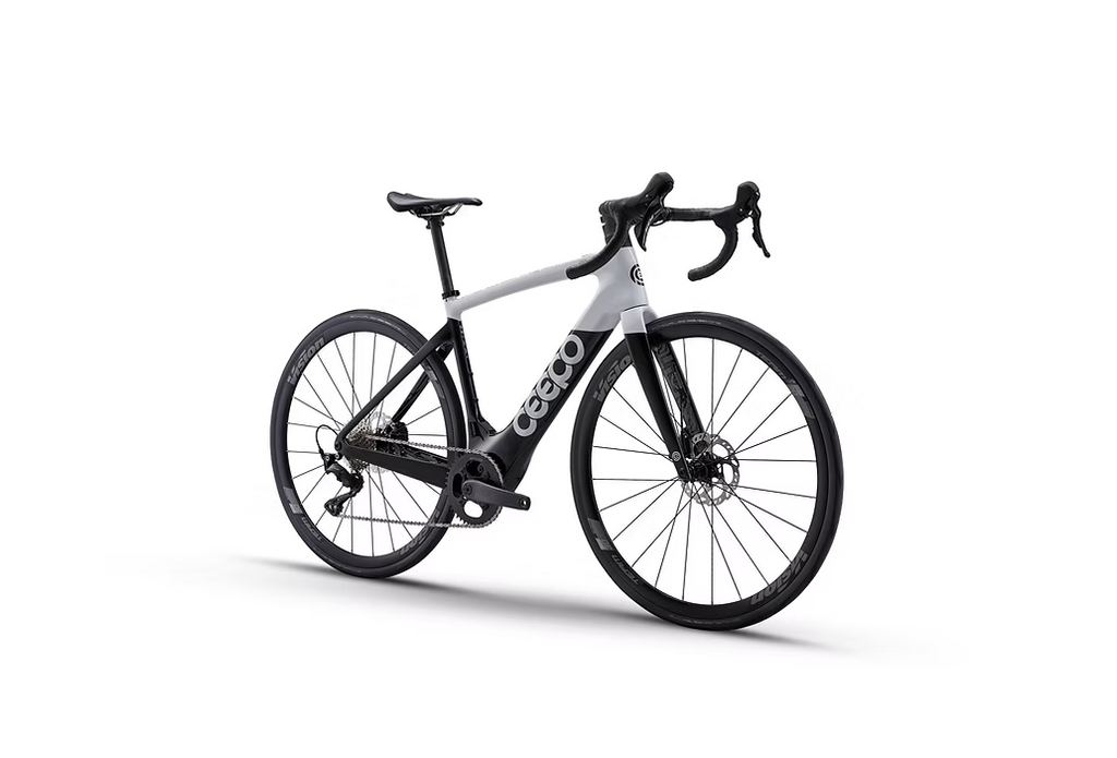CEEPO ION